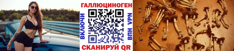 Галлюциногенные грибы Cubensis что такое Циолковский